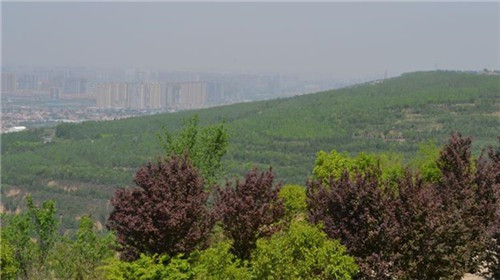 西安墓地價(jià)格多少，一般公墓多少錢(qián)一個(gè)