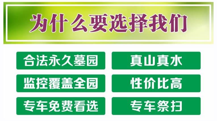 西安鯨魚溝壽陽(yáng)山圖片，壽陽(yáng)山公墓