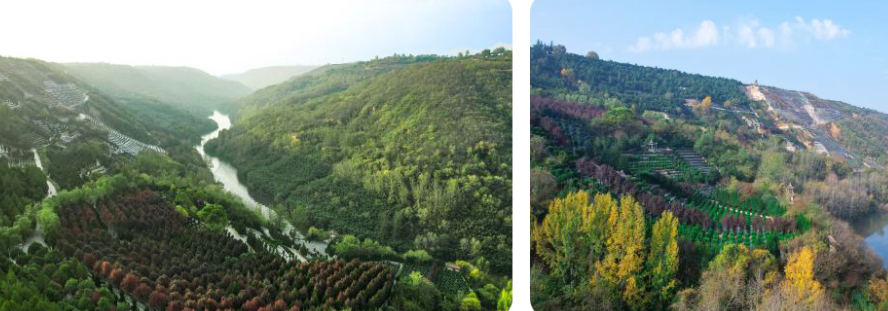 西安壽陽山骨灰墓園地處鯨魚溝中段，依山傍水，地勢高爽